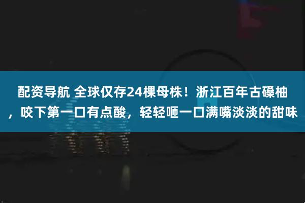 配资导航 全球仅存24棵母株！浙江百年古磉柚，咬下第一口有点酸，轻轻咂一口满嘴淡淡的甜味